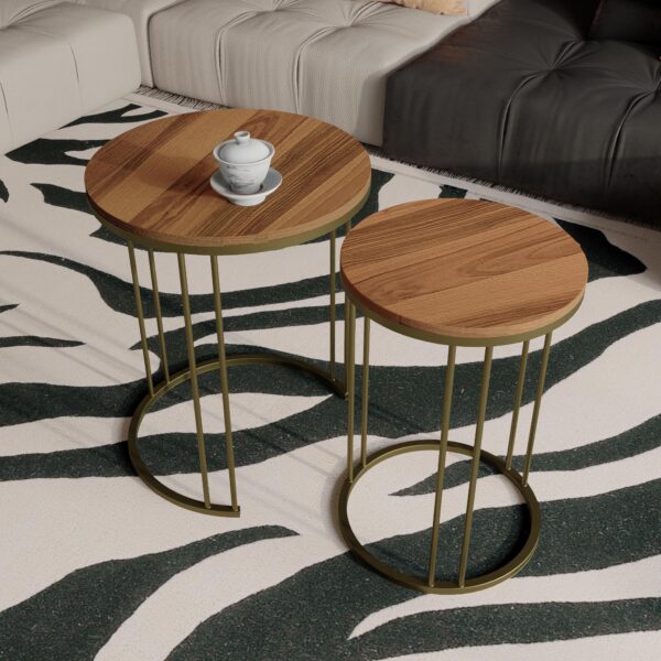 Elegant Round End Table (1)