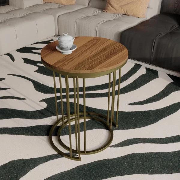 Elegant Round End Table (2)